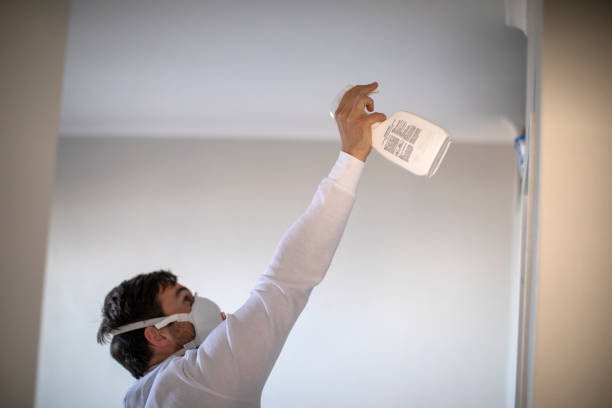 Best Local Mold Removal Service  in Park City, MT