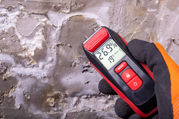 Best Mold Testing  in Park City, MT